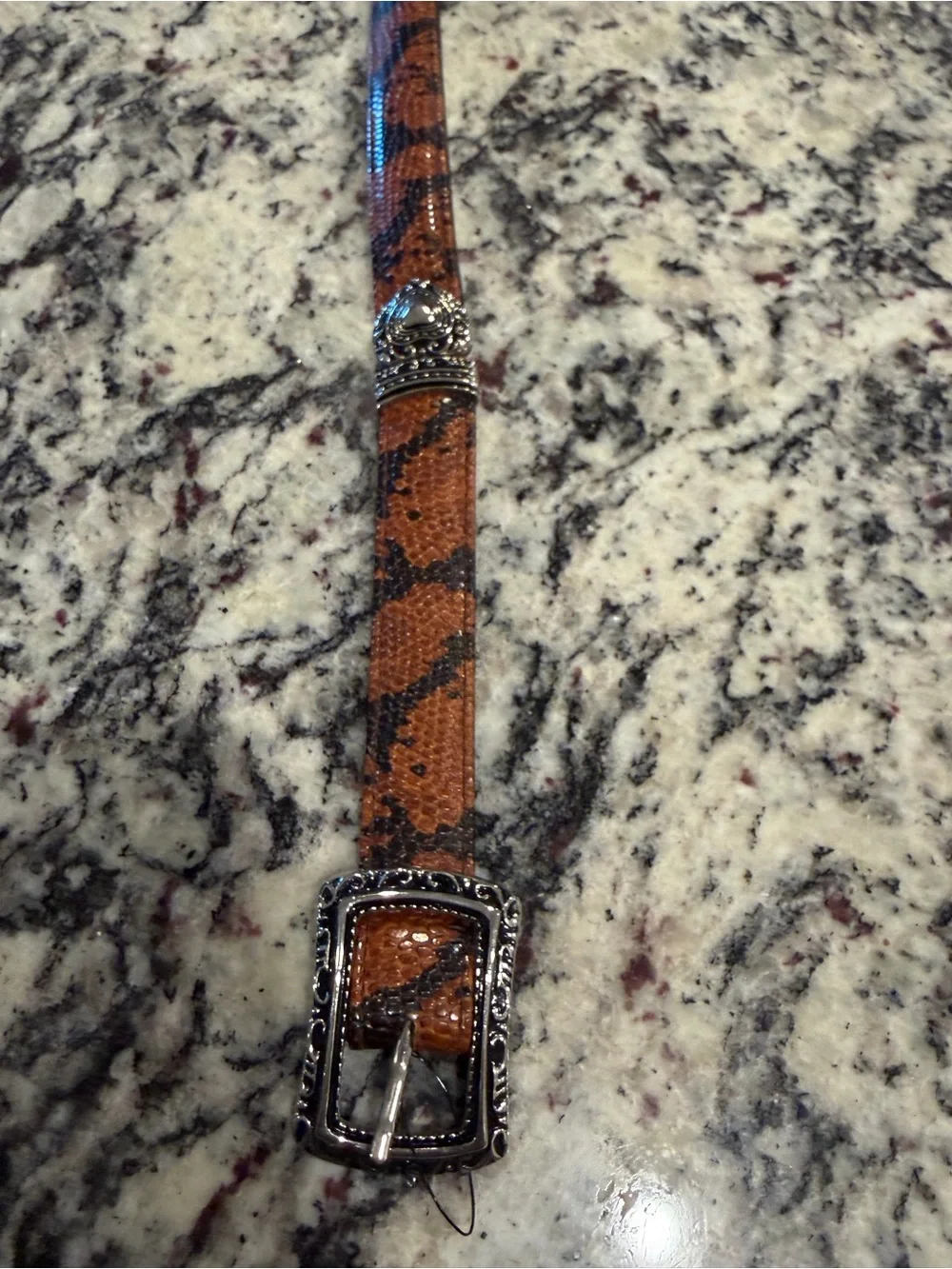 Brighton Brown and Black Kids Belt with Decorative Silver Buckle